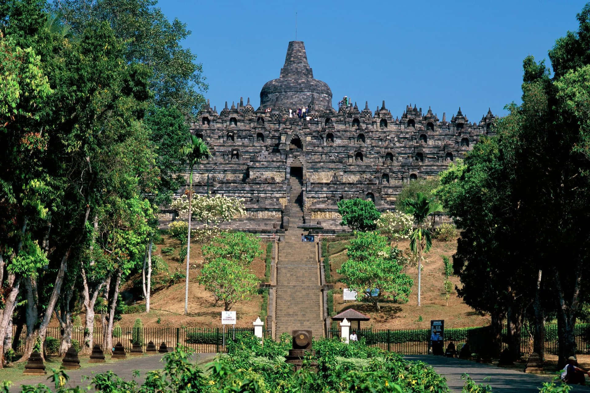 The Borobudur Temple On A Sunny Day Background