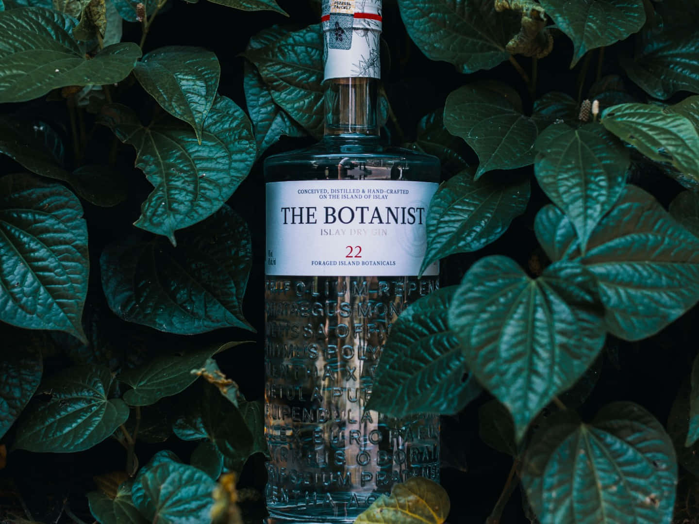 The Botanist Islay Dry Gin Alcoholic Drink And Betel Leaves Background