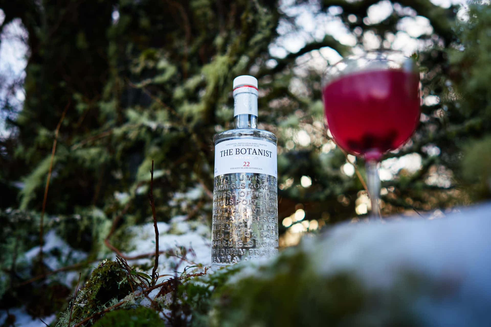 The Botanist Islay Dry Gin Cocktail Chilled In Snow Background