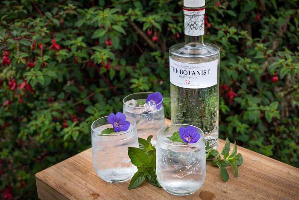 The Botanist Islay Dry Gin Drink Blue Butterfly Pea Flowers Background