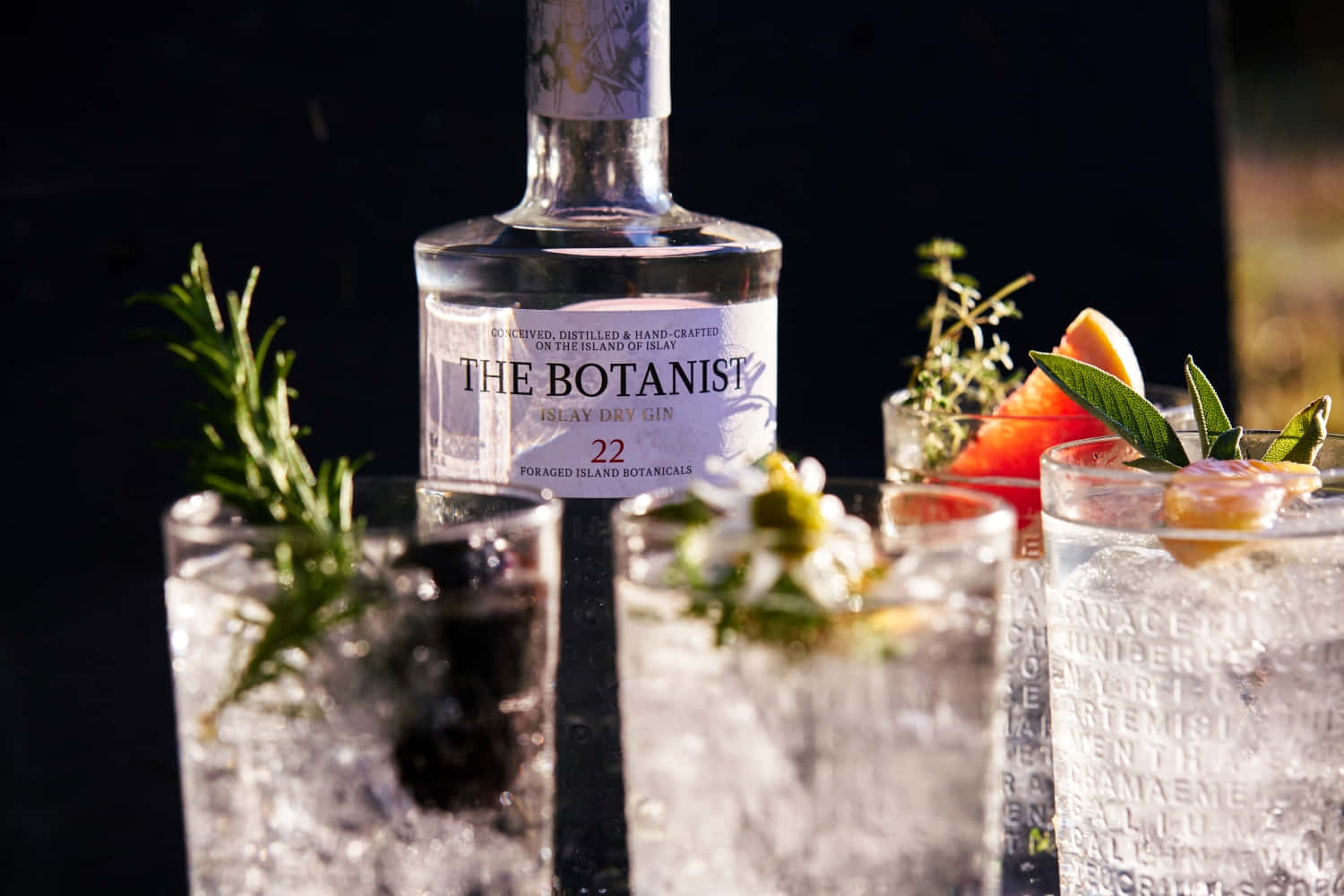 The Botanist Islay Dry Gin Drink Fruits And Cocktails Background