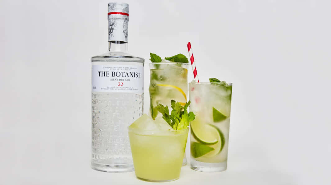 The Botanist Islay Dry Gin With Leaves And Lime Background