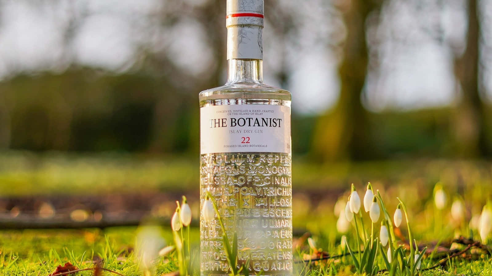 The Botanist Islay Dry Gin With Snowdrop Flowers