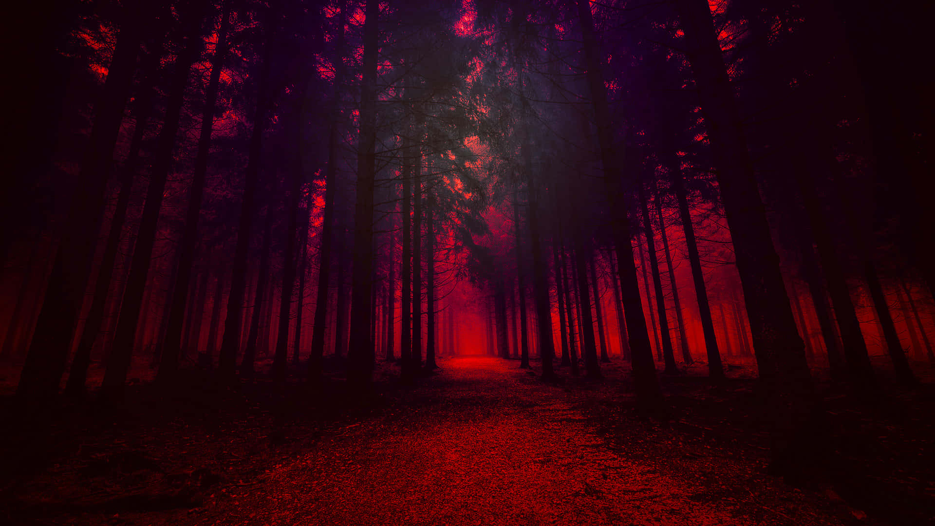 The Breathtaking View Of Red Forest, Nature's Masterpiece Background