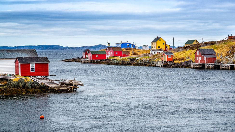 The Calm Waters Of Newfoundland