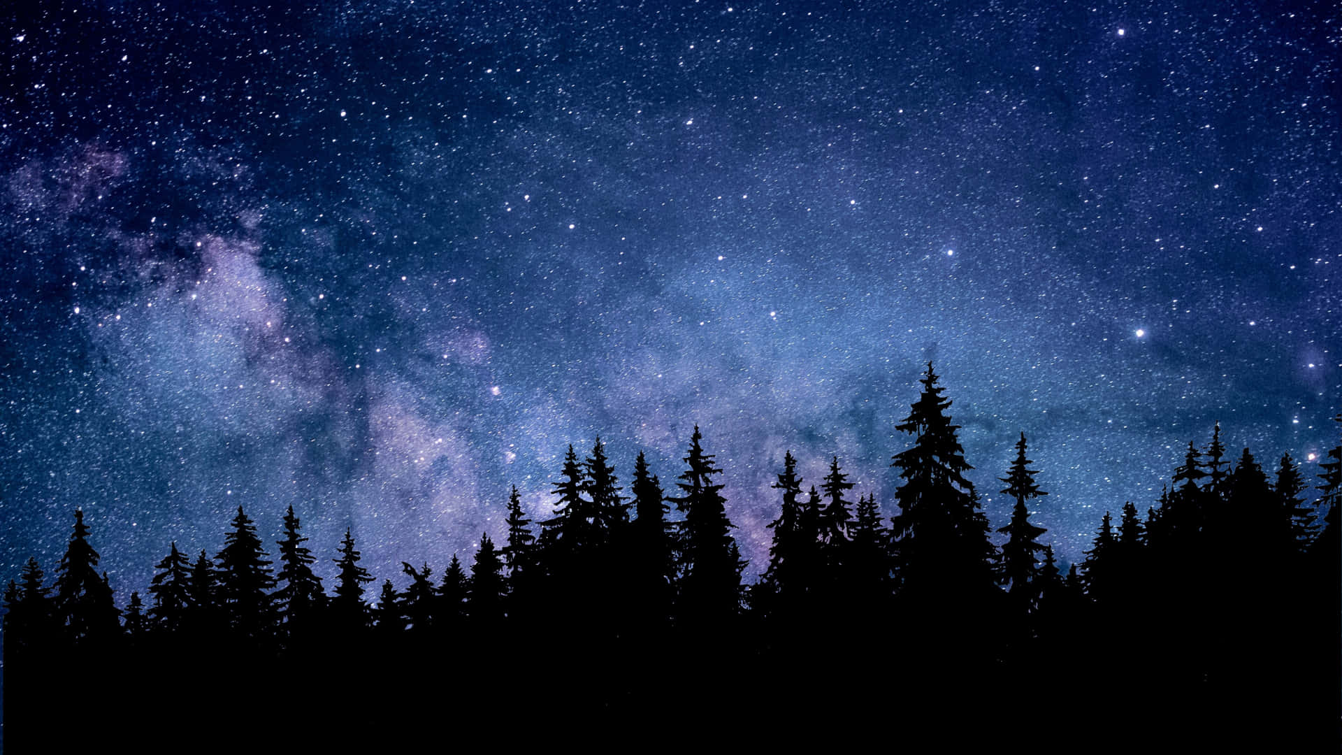 The Calming Sounds Of The Peaceful Night Forest. Background