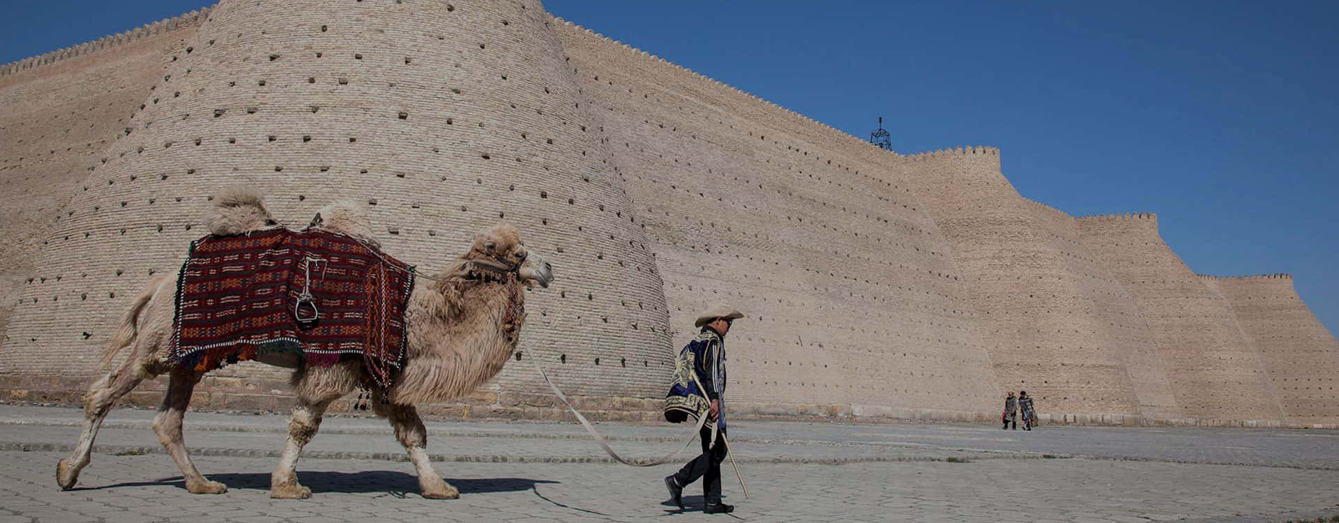 The Camels Of Bukhara Background