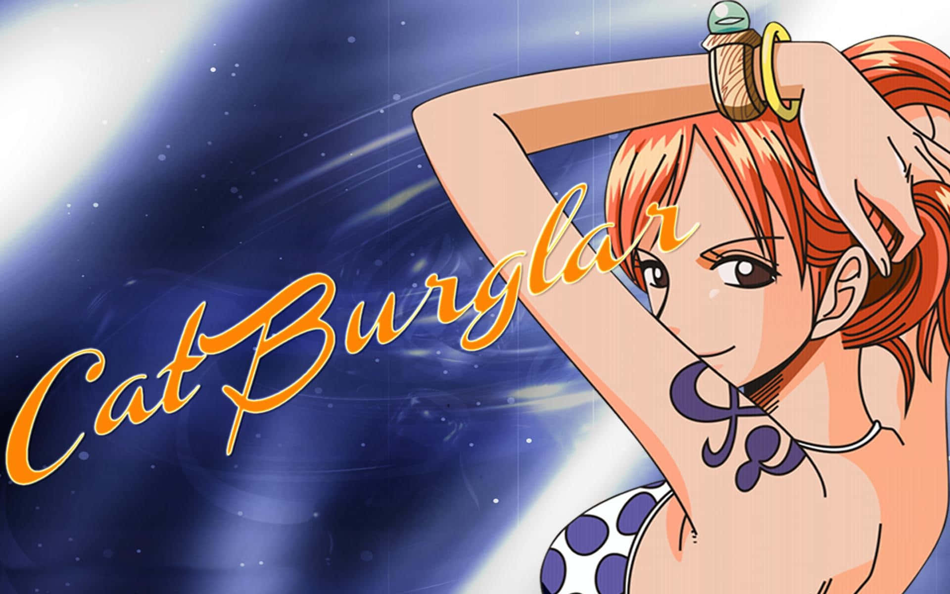 The Cat Burglar Nami One Piece Desktop
