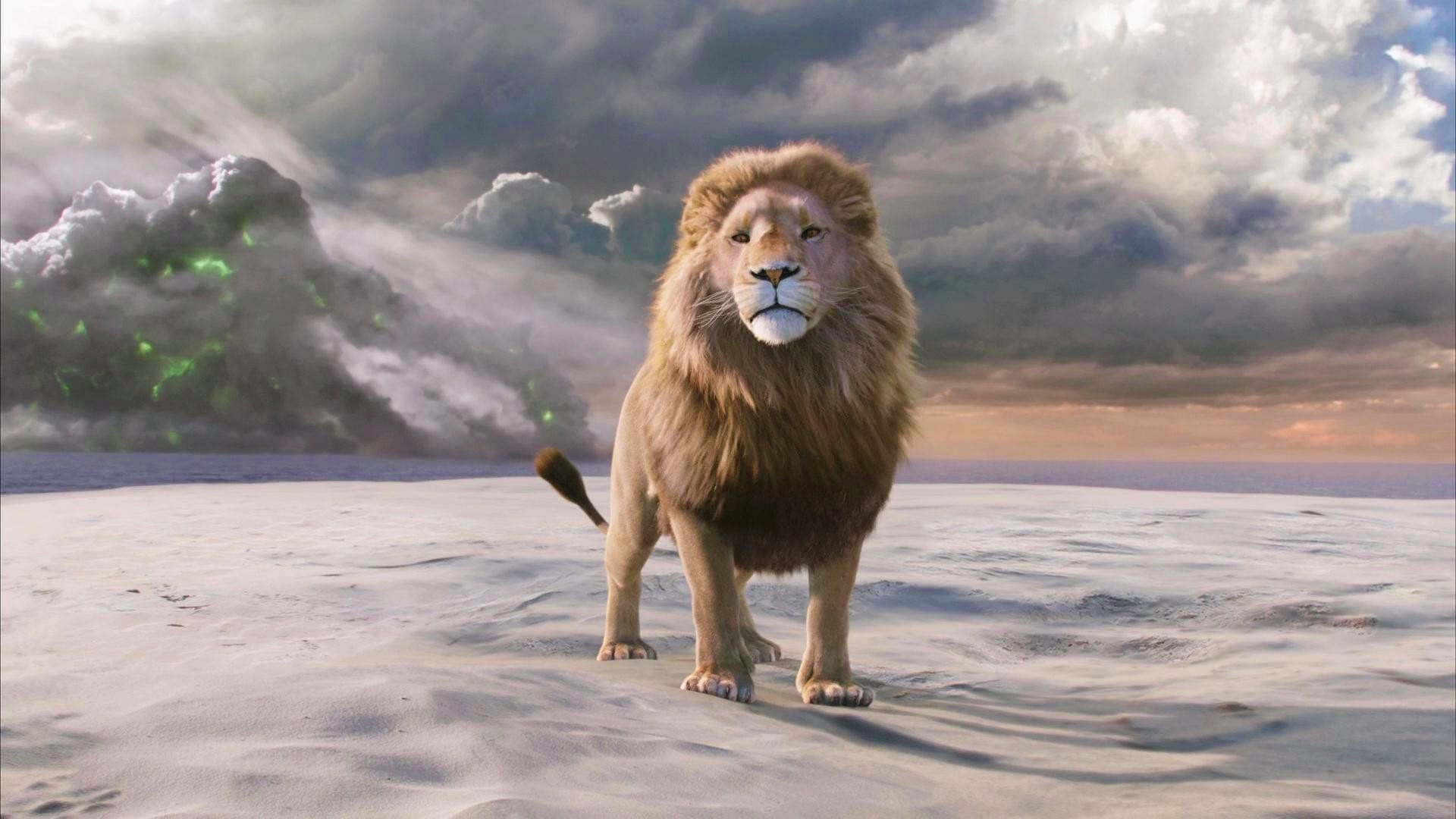 The Chronicles Of Narnia Great Lion Background