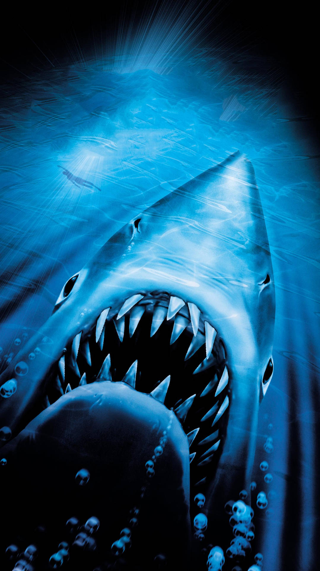 The Classic Image Of Jaws, The Great White Shark Background