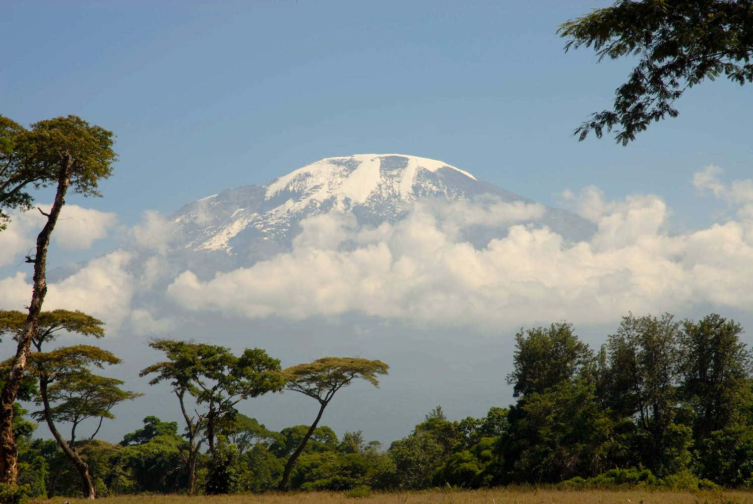 The Cloud-cloaked Peak Of Mount Kilimanjaro Background