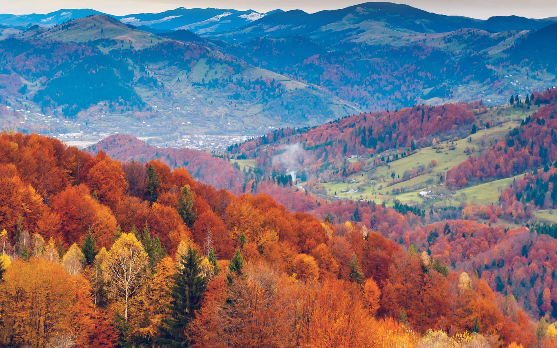 The Colorful Autumn Leaves Of Fall Mountain Background