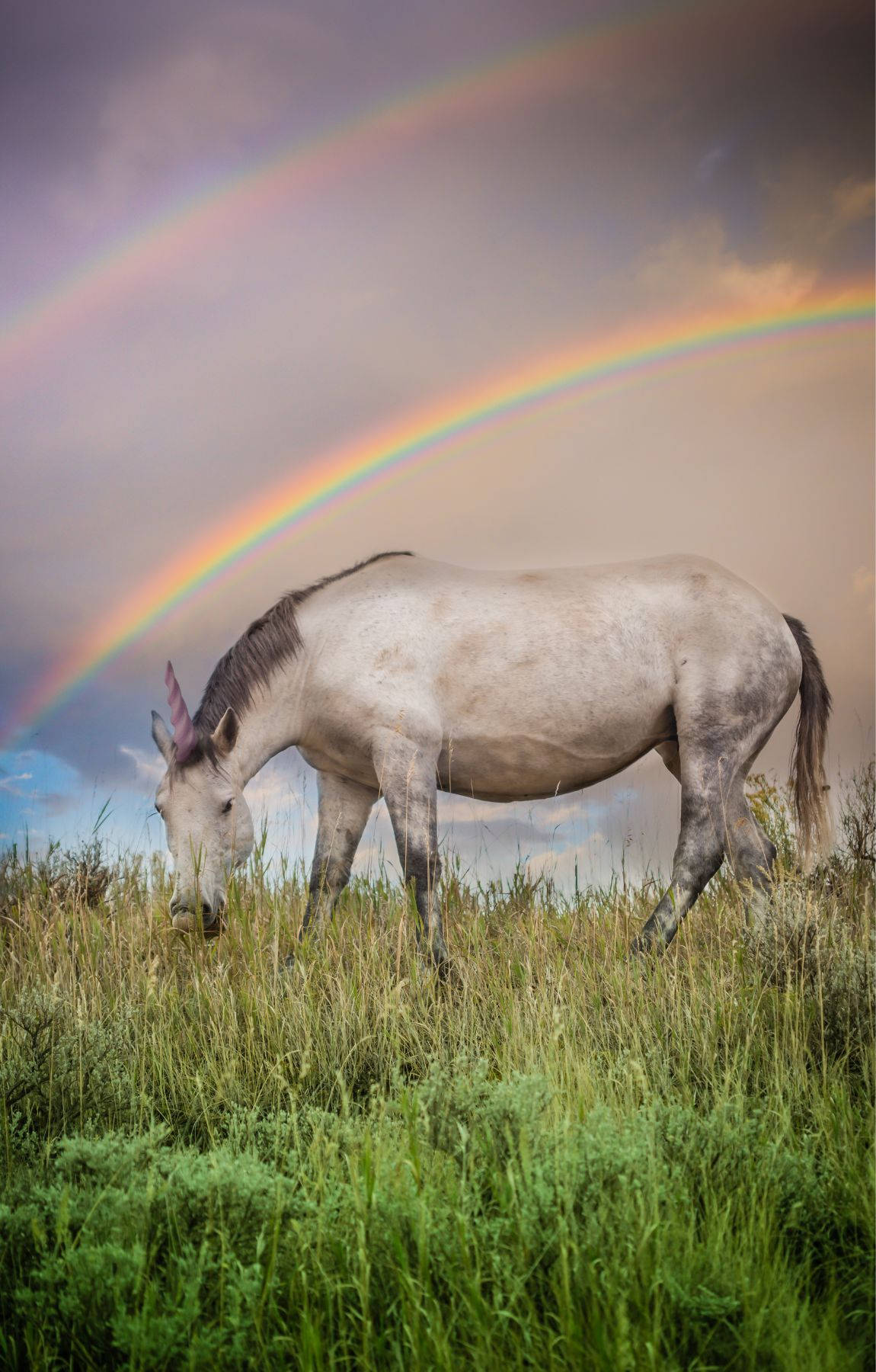 The Coolest Unicorn Around! Background