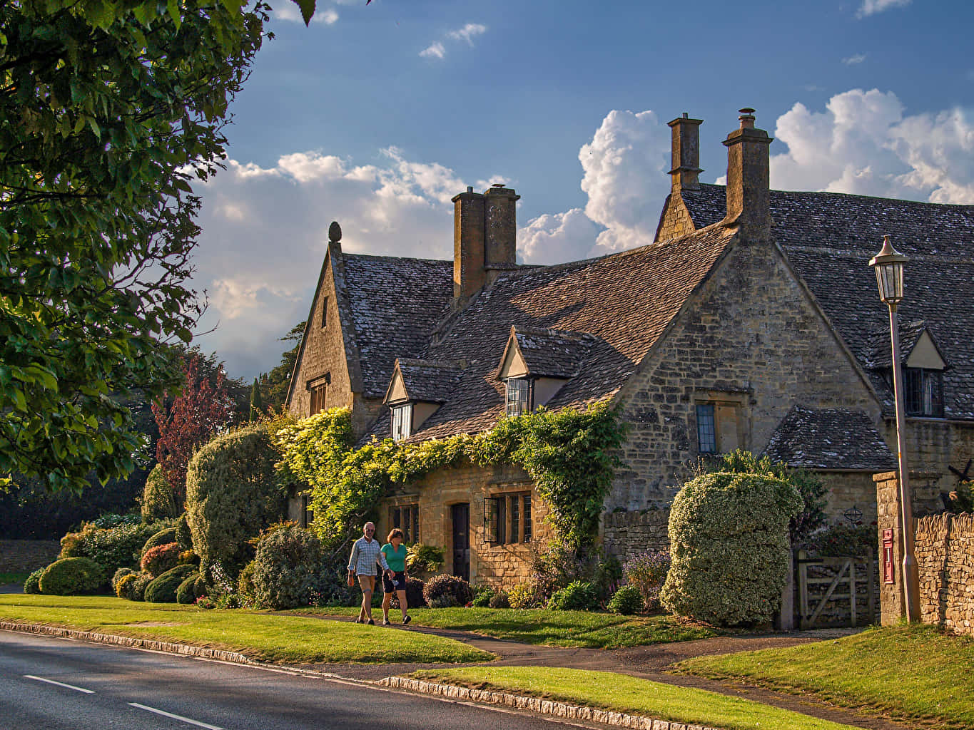 The Cotswolds Shrubs United Kingdom Background