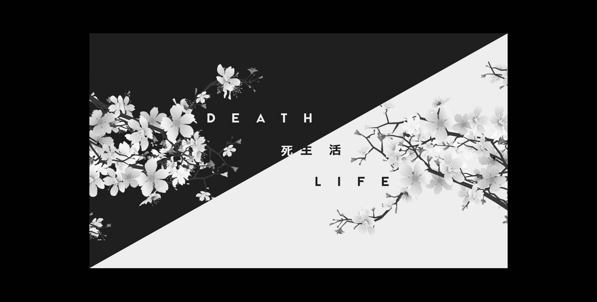 The Cycle Of Life And Death Background