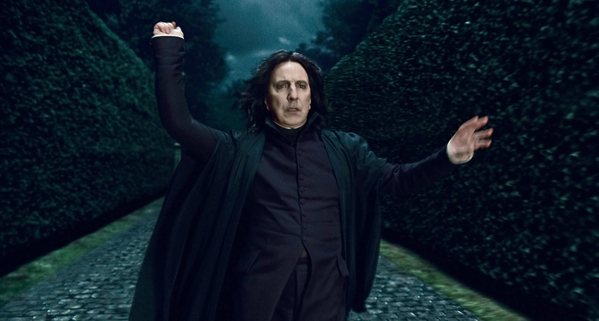 The Dark Potions Master - Severus Snape Background