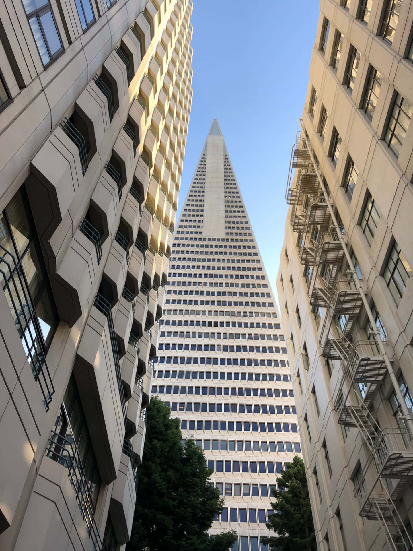 The Design Of Transamerica Pyramid Background