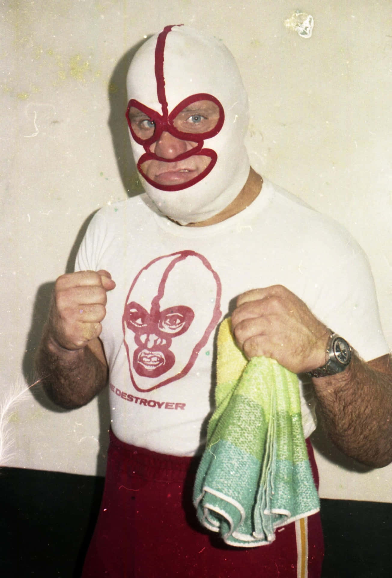 The Destroyer Fist Pose 1973 Background