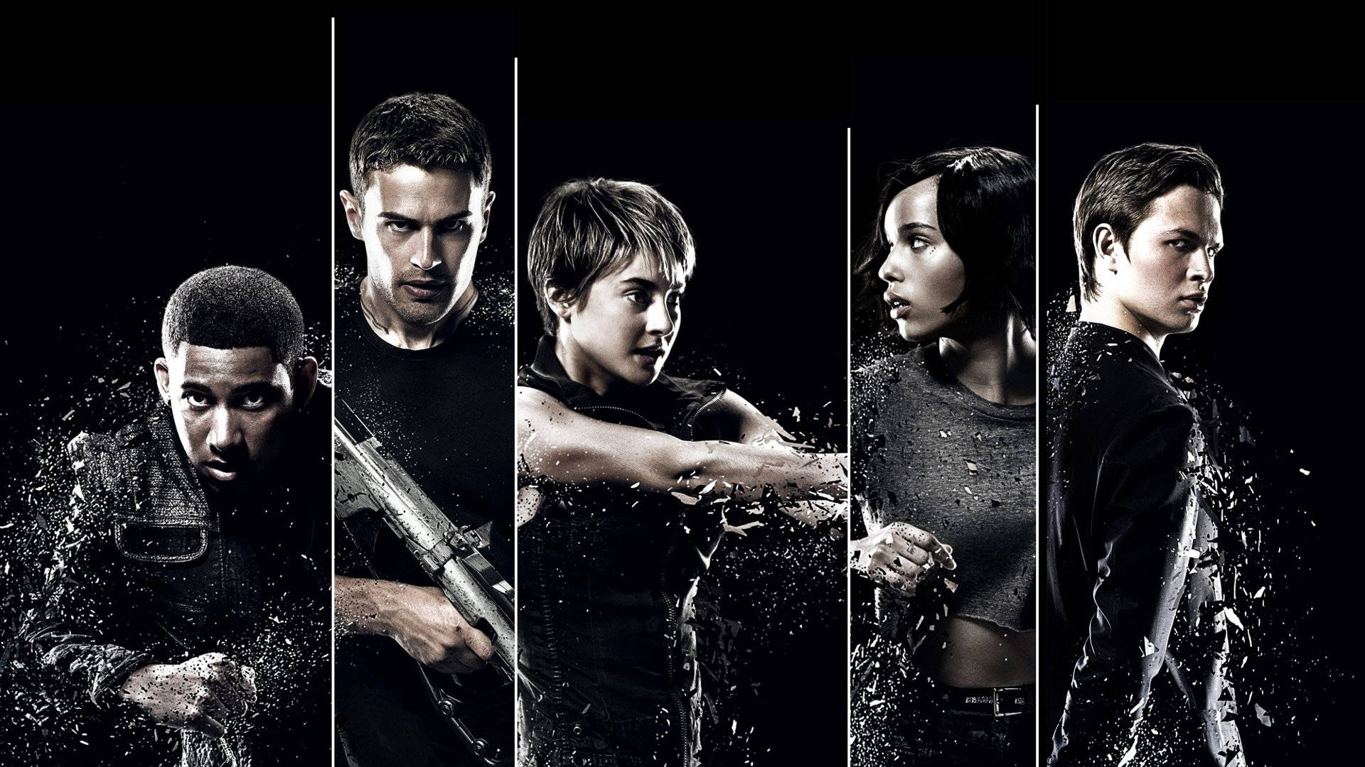 The Divergent Series Five-way Split Background