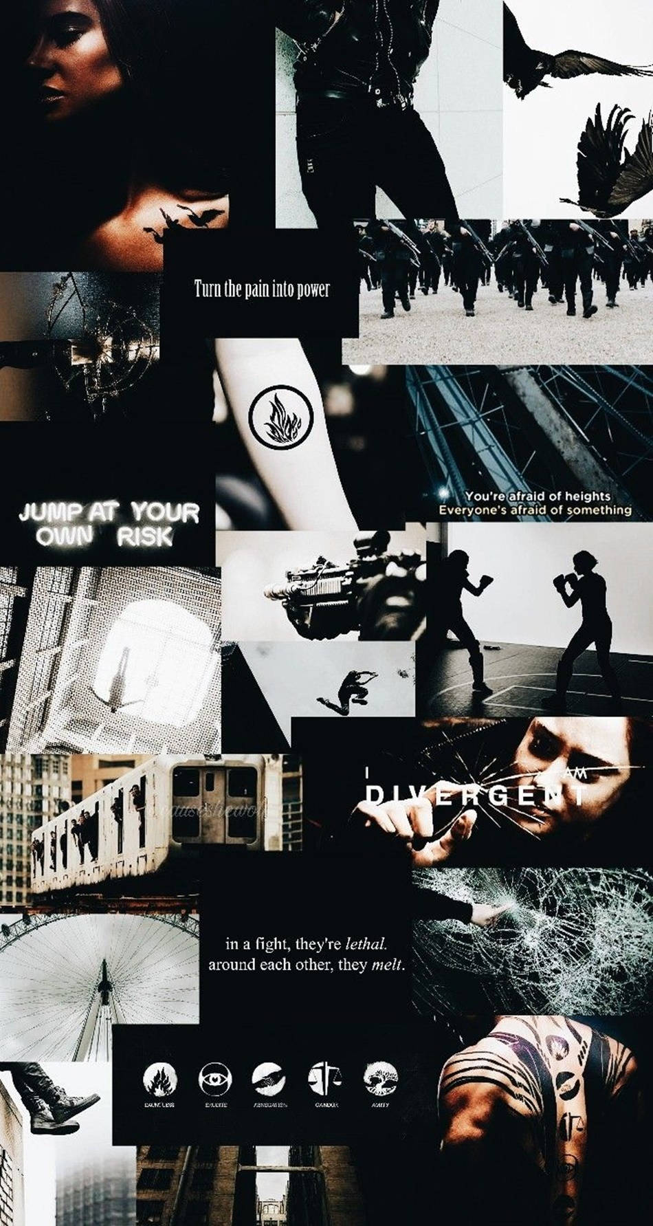 The Divergent Series Trilogy Compilation Background