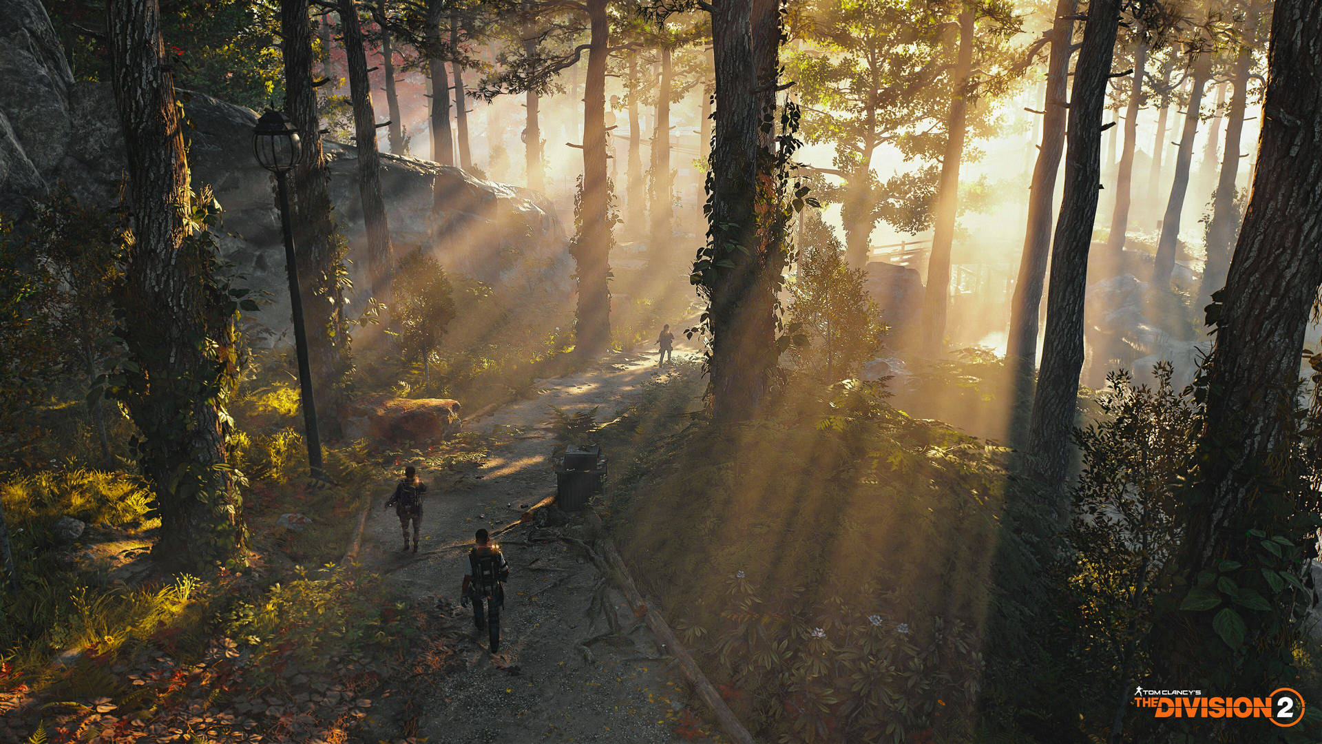 The Division 2 In Forest Background