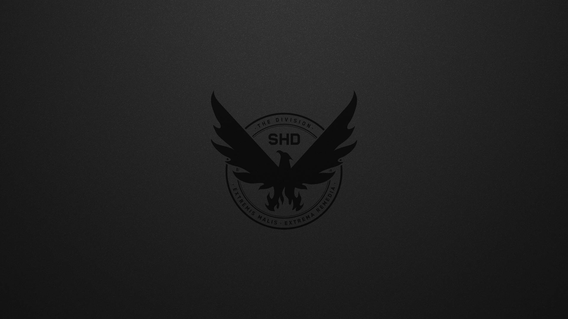The Division 4k Dark Eagle