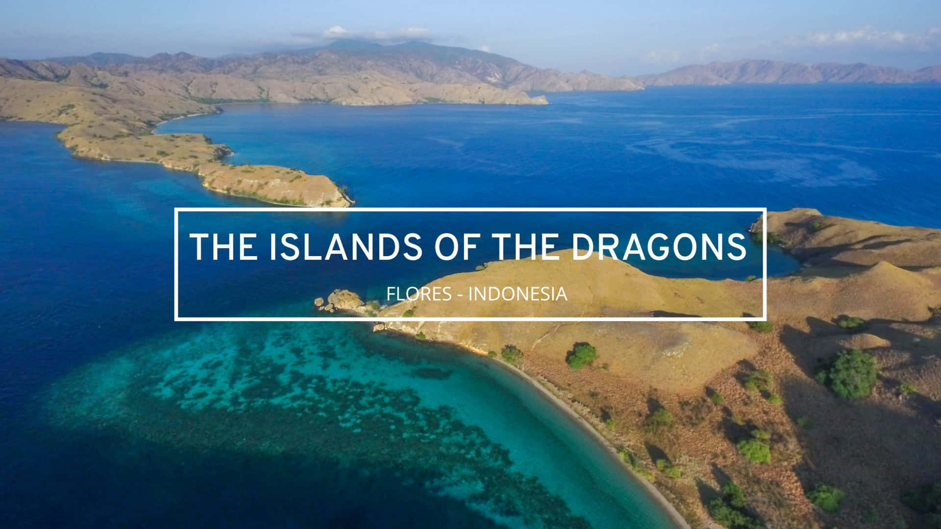 The Dragons' Island Of Komodo Background