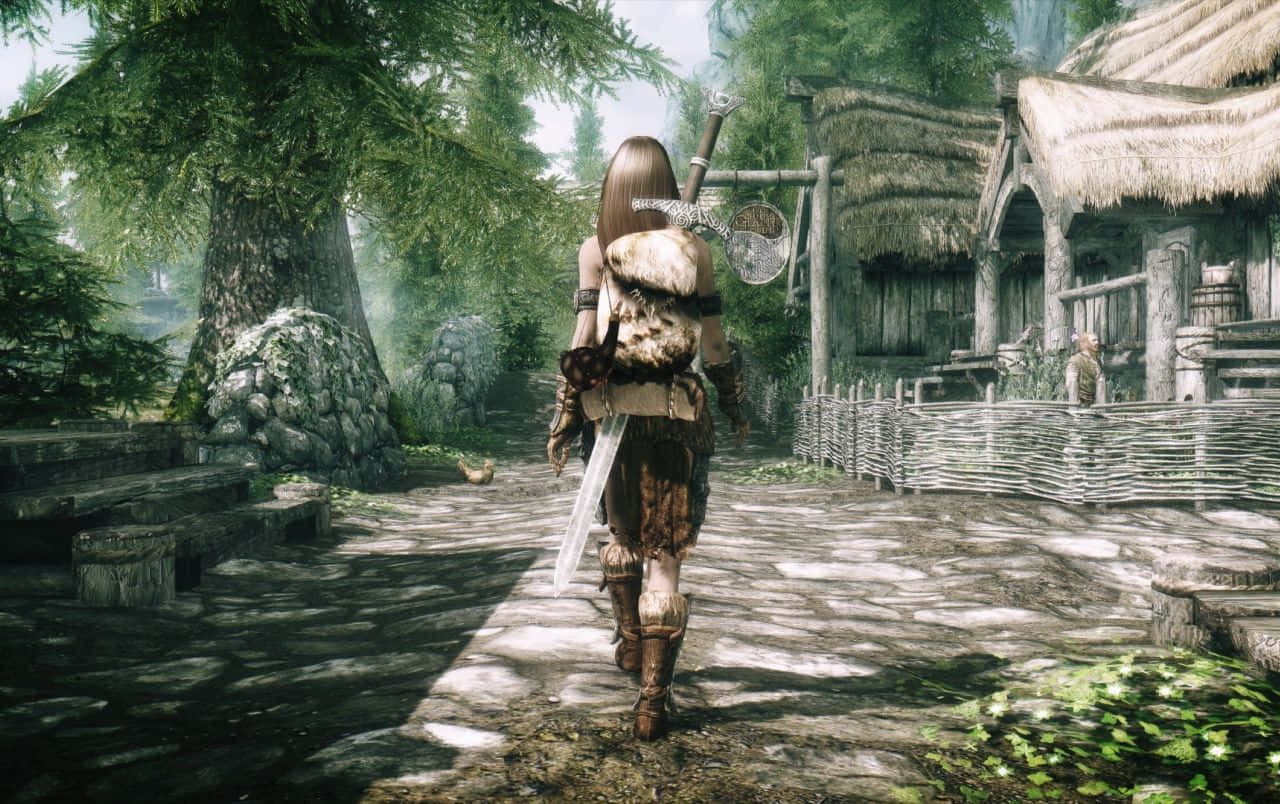 The Elder Scrolls Iii - Screenshot Background