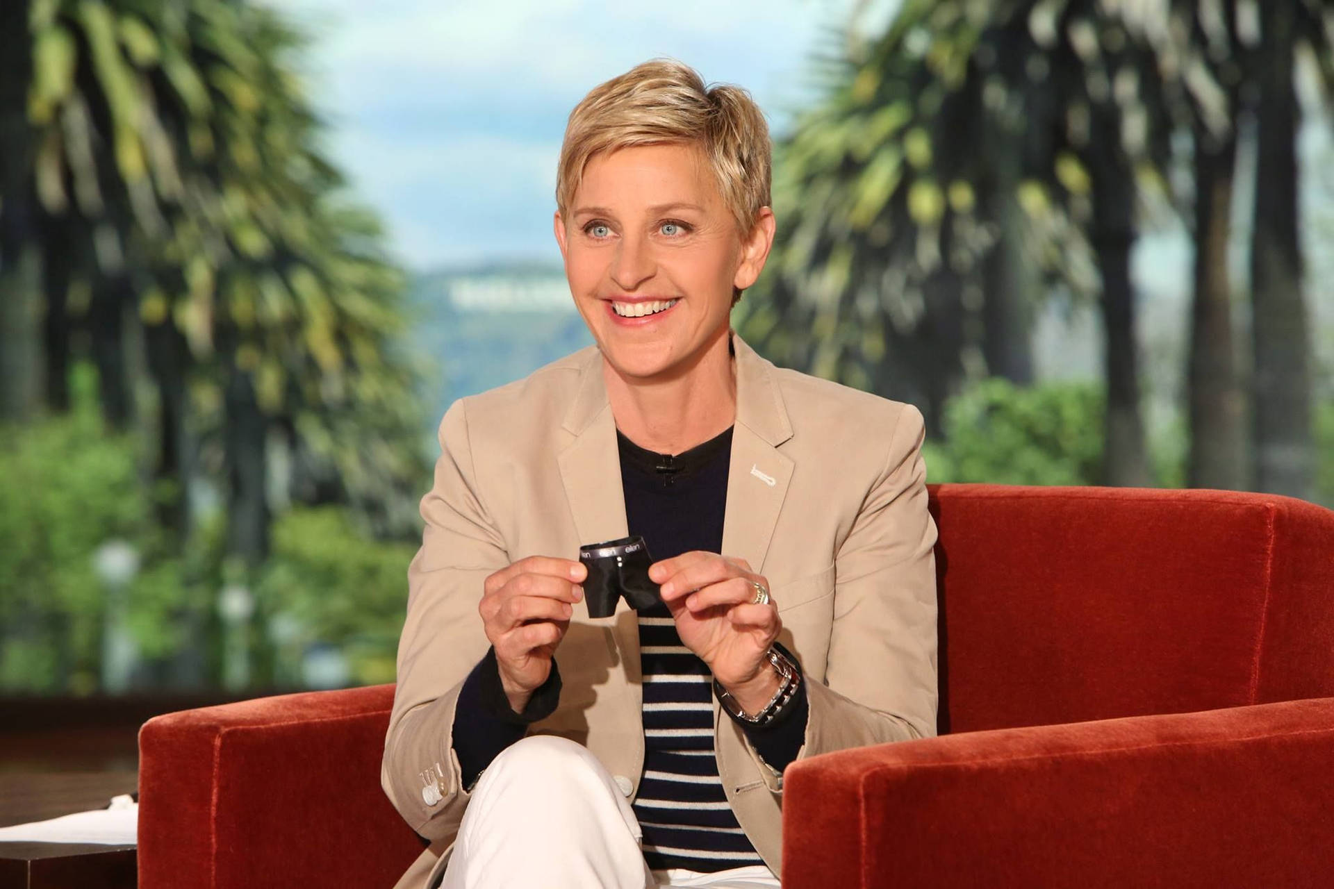 The Ellen Show Brown Suit