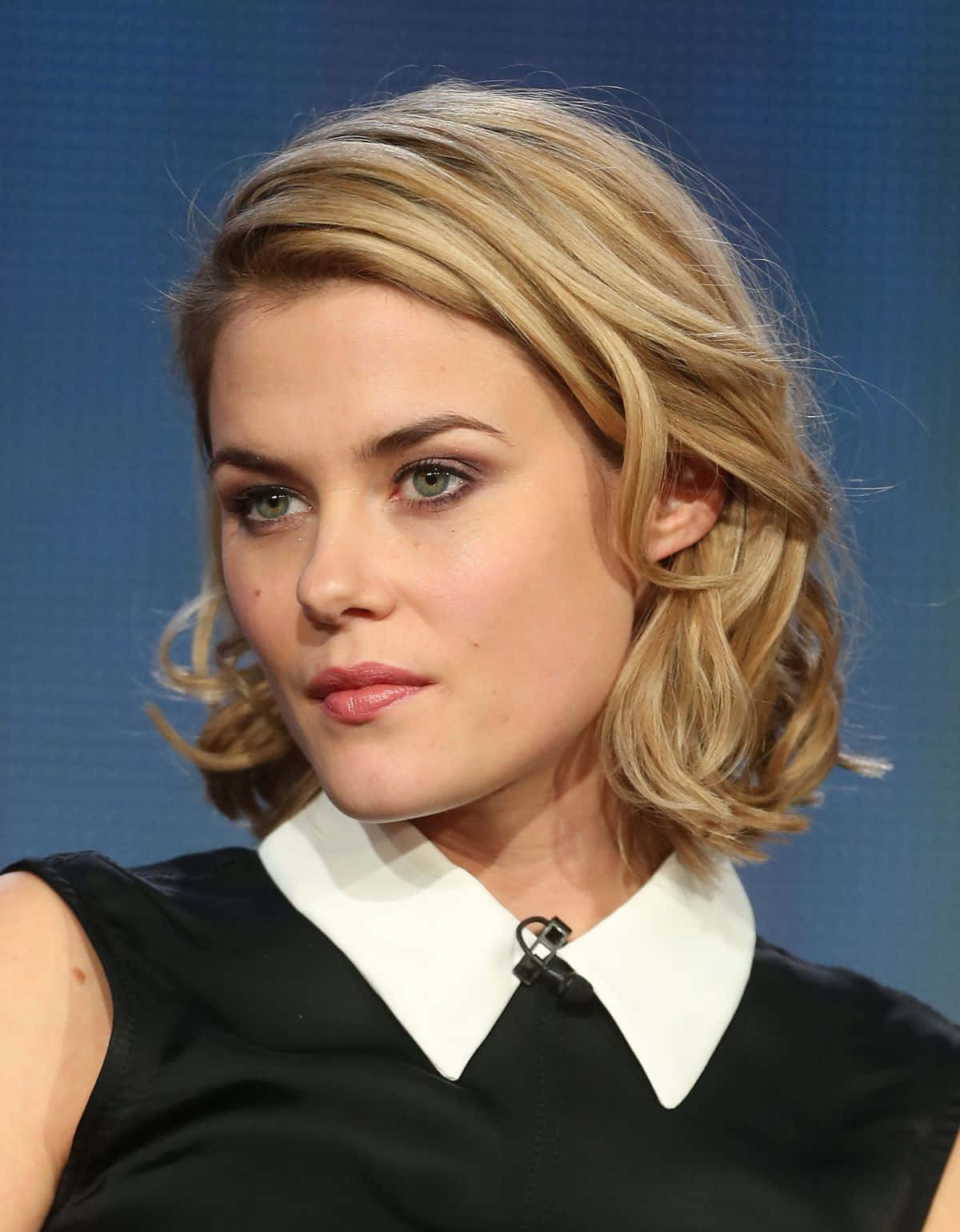 The Enchanting Rachael Taylor On Red Carpet Background