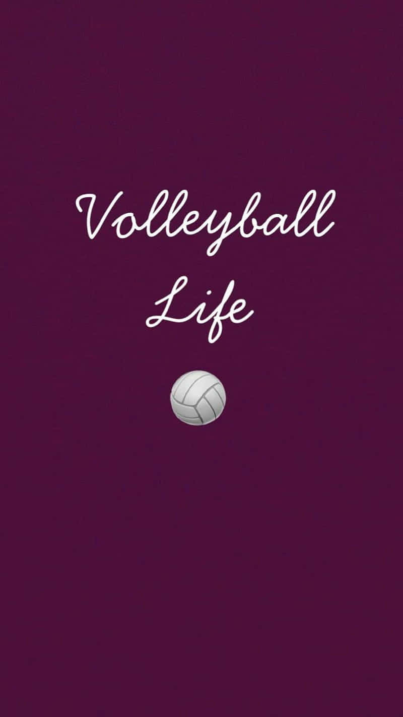 The Essential Tool For Any Serious Volleyball Game Background