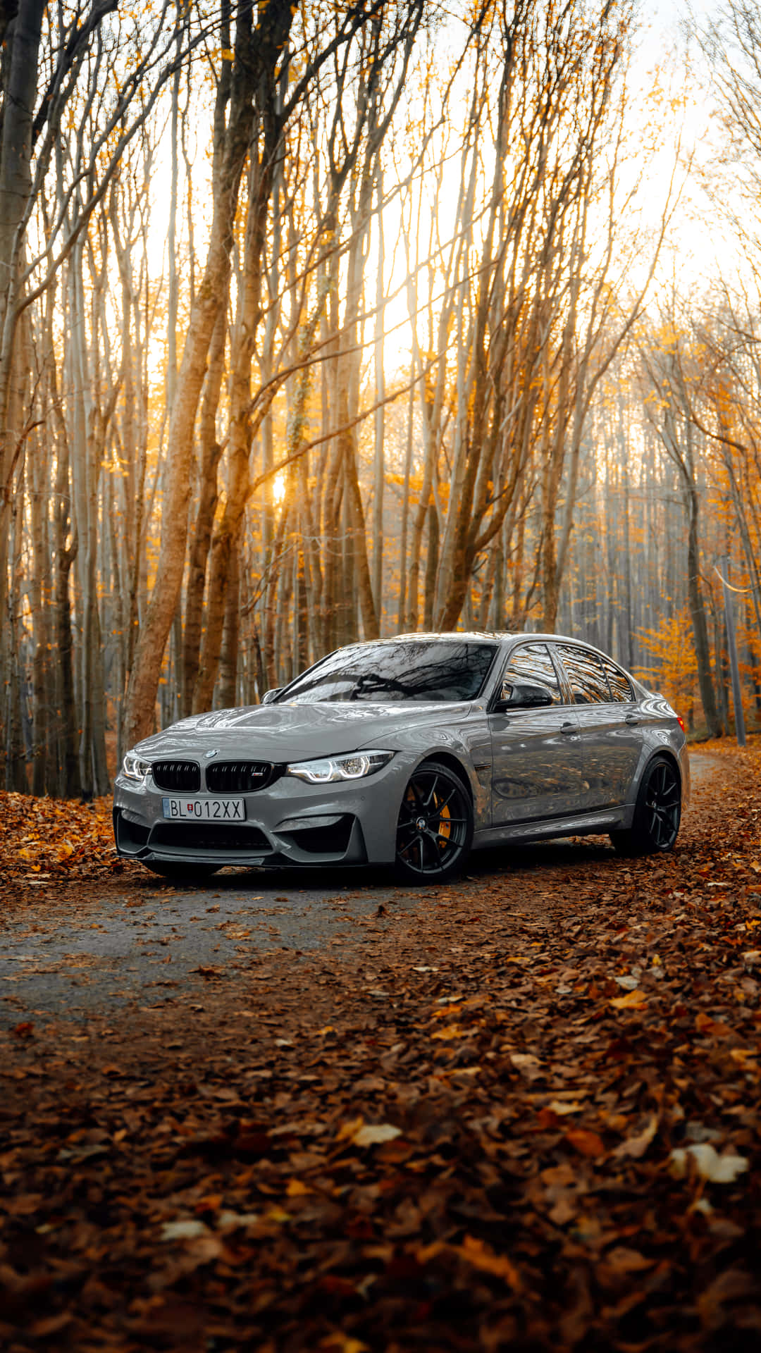 The Exotic Bmw M8 In 4k Resolution Background