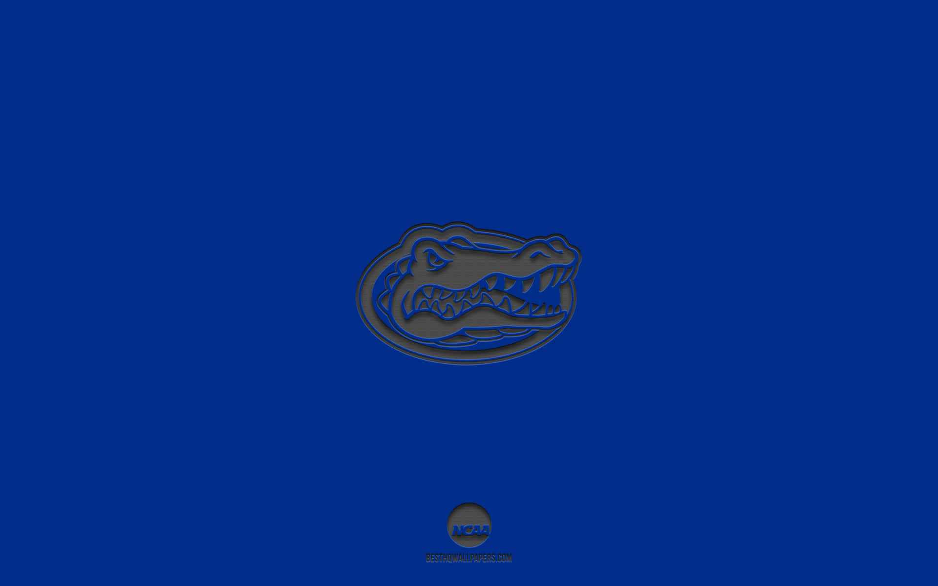 The Florida Gators Logo On A Blue Background Background