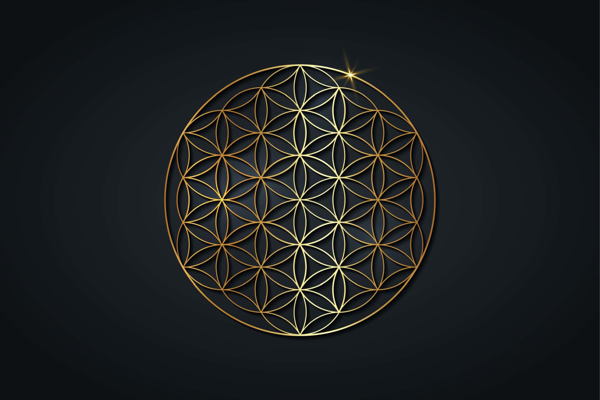 'the Flower Of Life Symbol - Representing Power, Balance And Beauty' Background