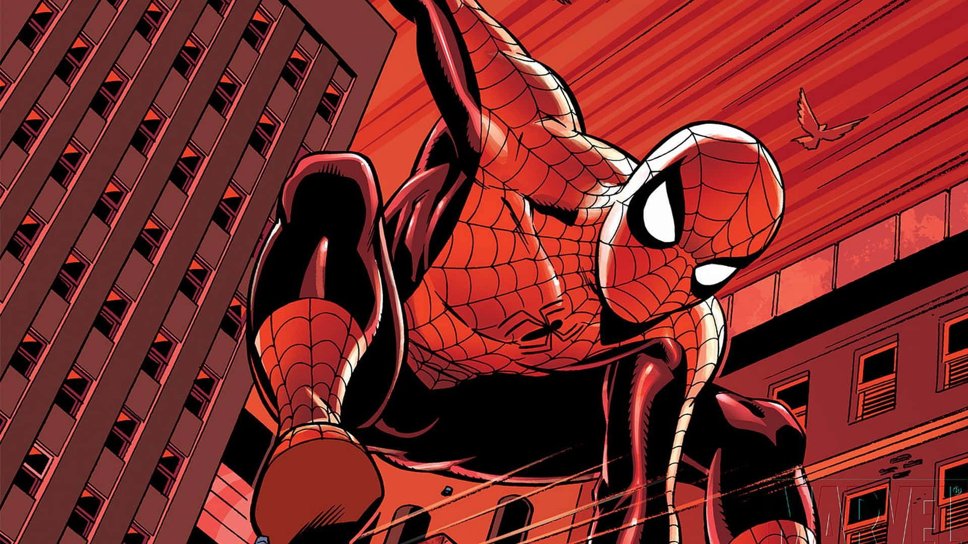 The Friendly Neighborhood Spider-man. Background
