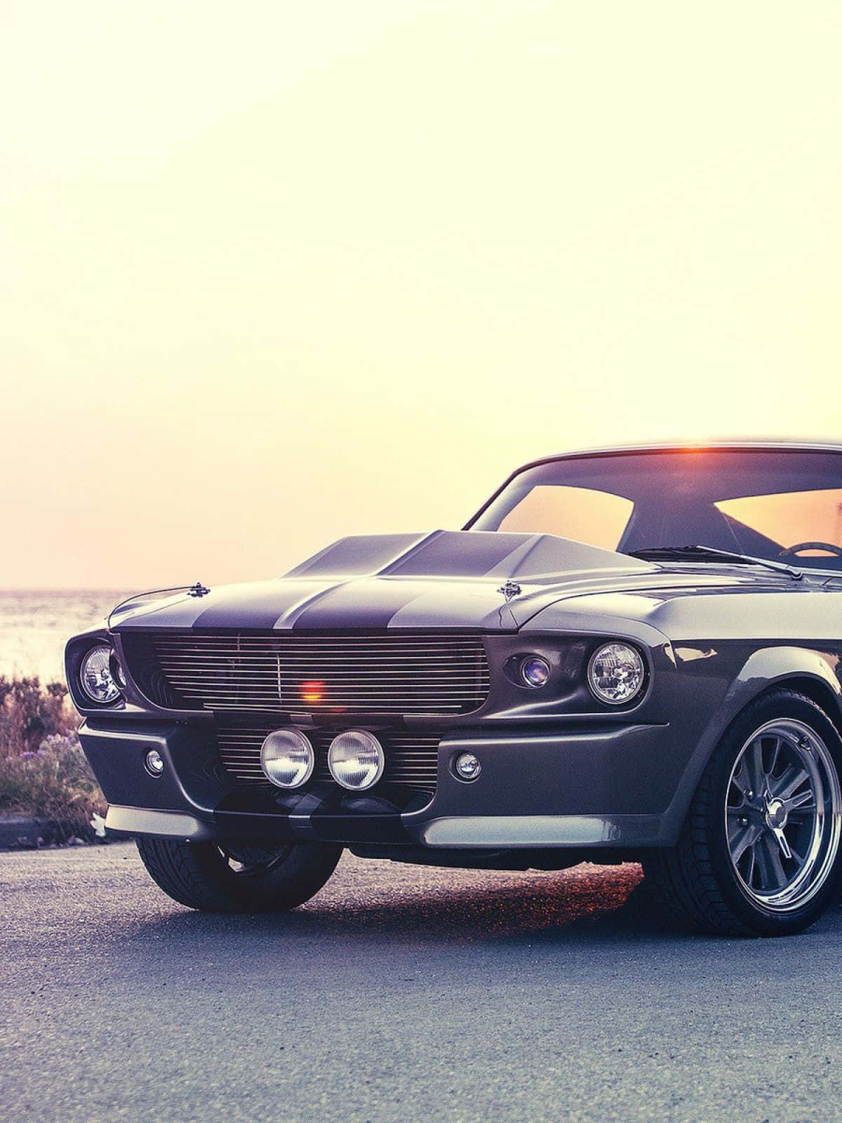 The Fun Never Stops With Your Mustang Phone Background