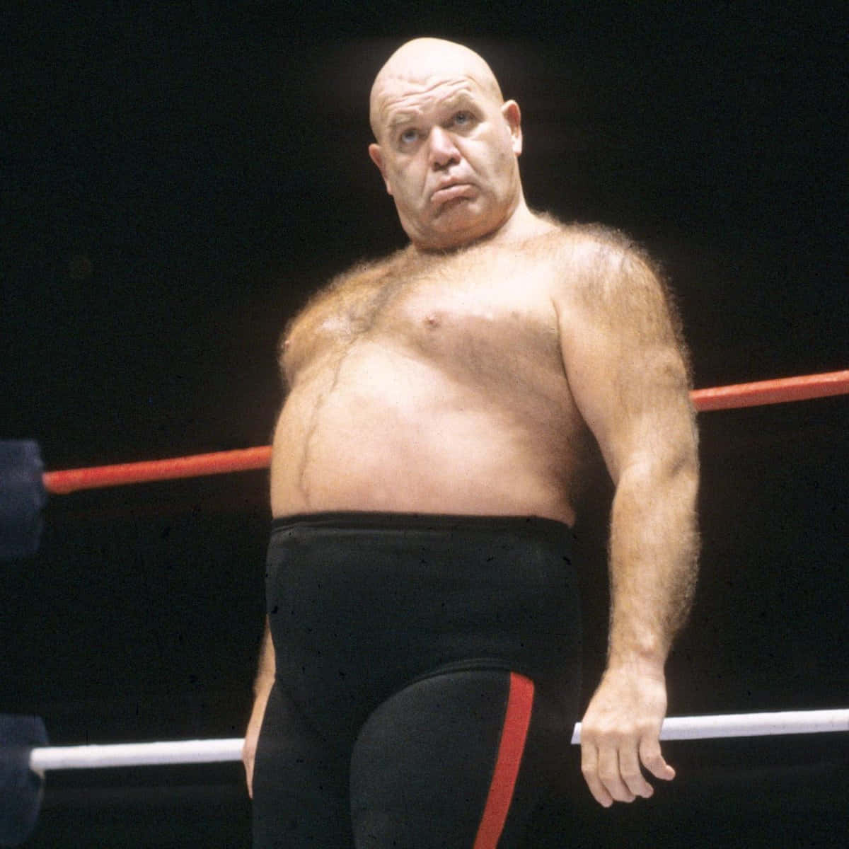 The Furry George Steele Background