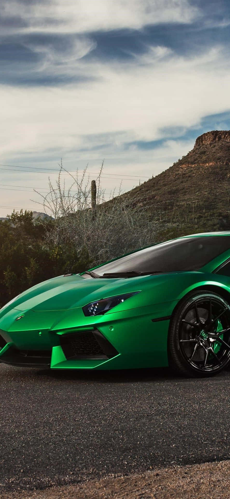The Future Looks Evey Greener. Background