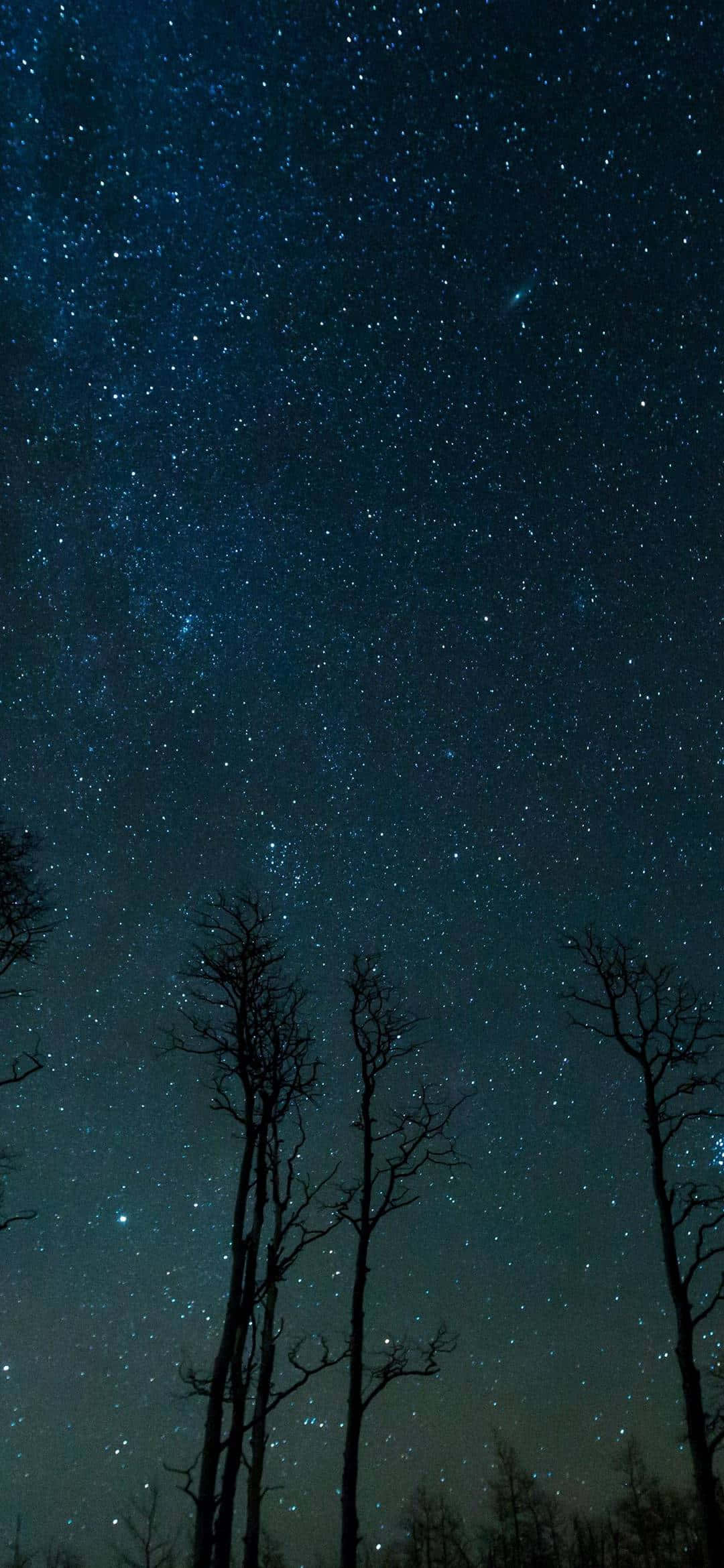 The Future Of Mobile Technology - The Iphone 13 Mini Background