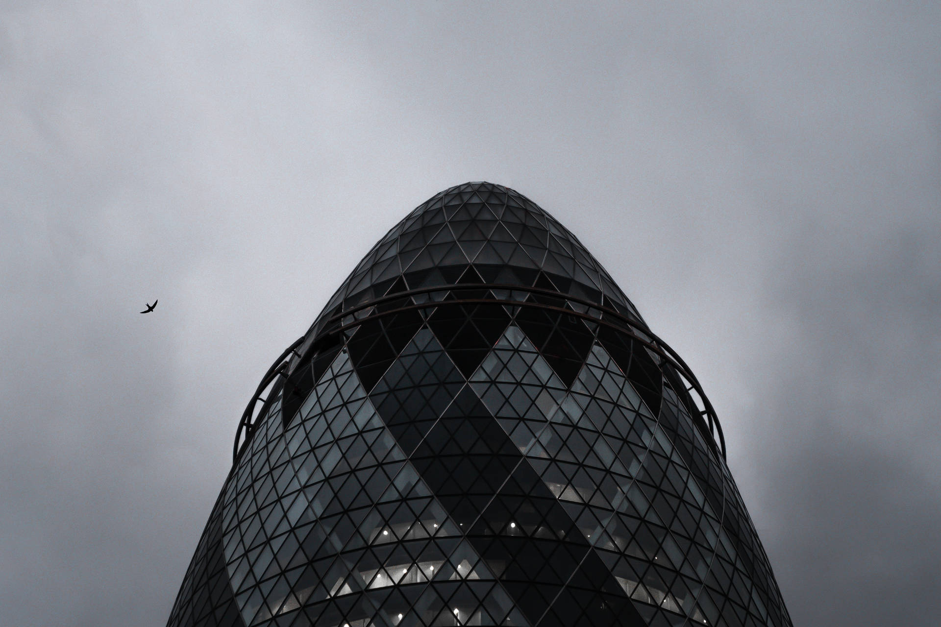 The Gherkin In Monochrome Background