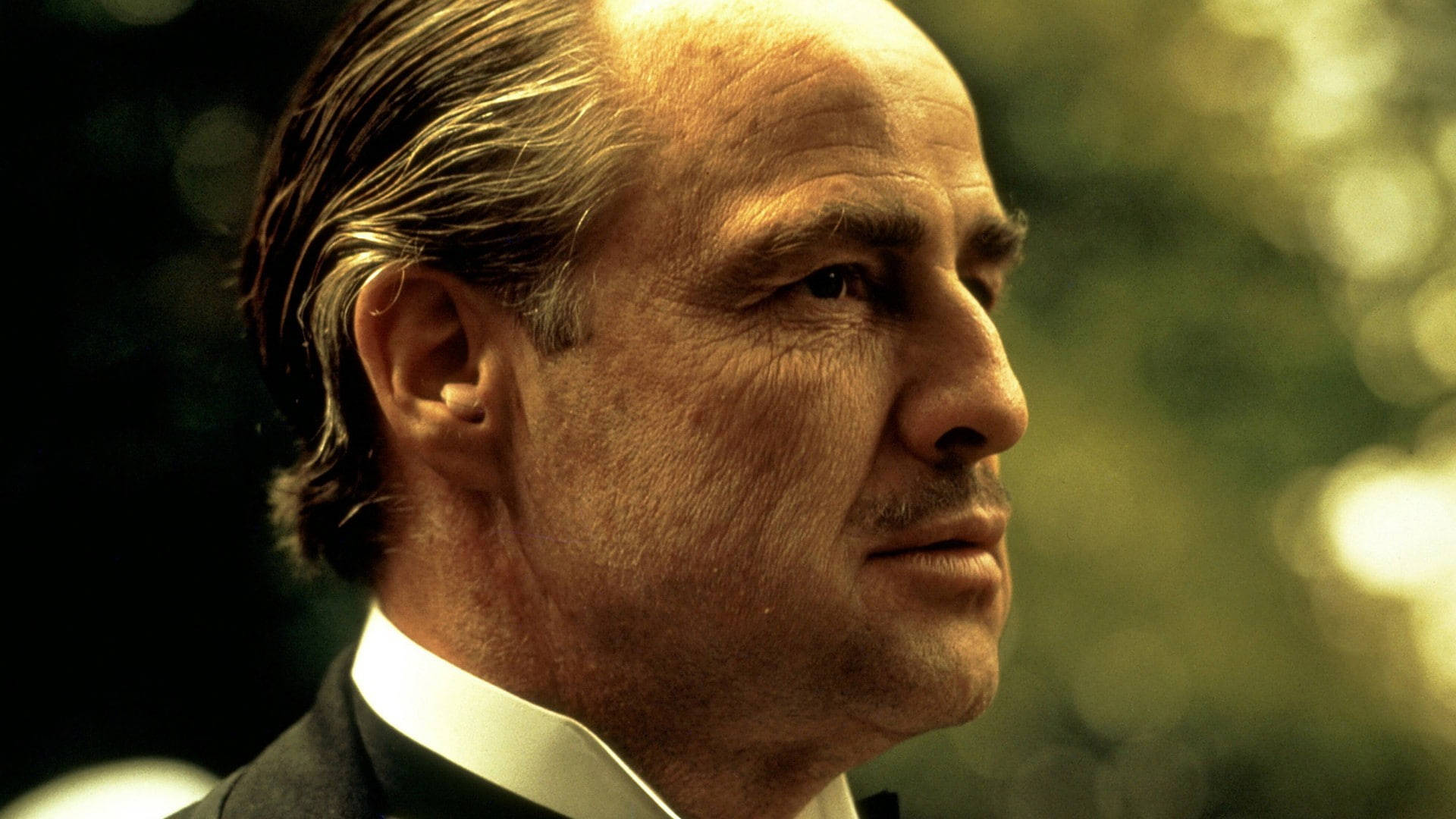 The Godfather Don Vito Corleone Background