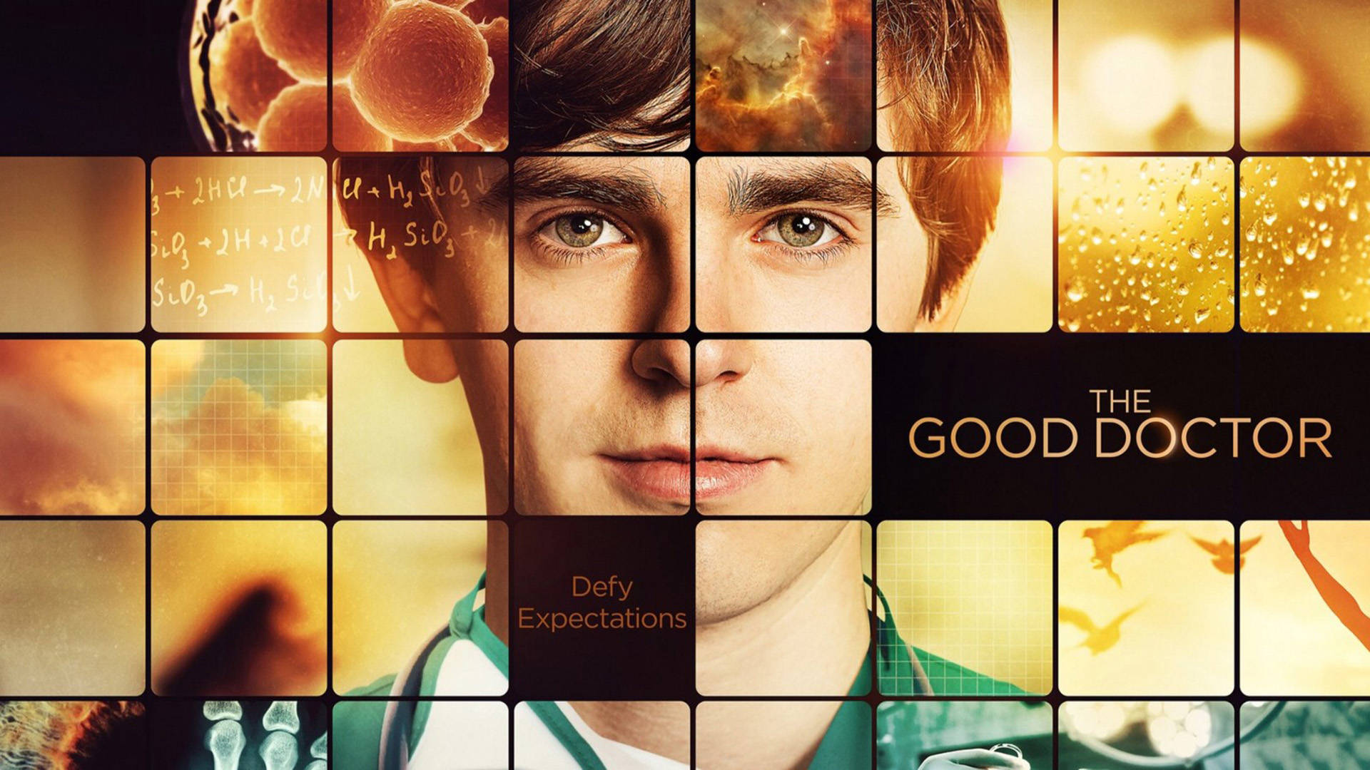 The Good Doctor Season 2 Poster Background