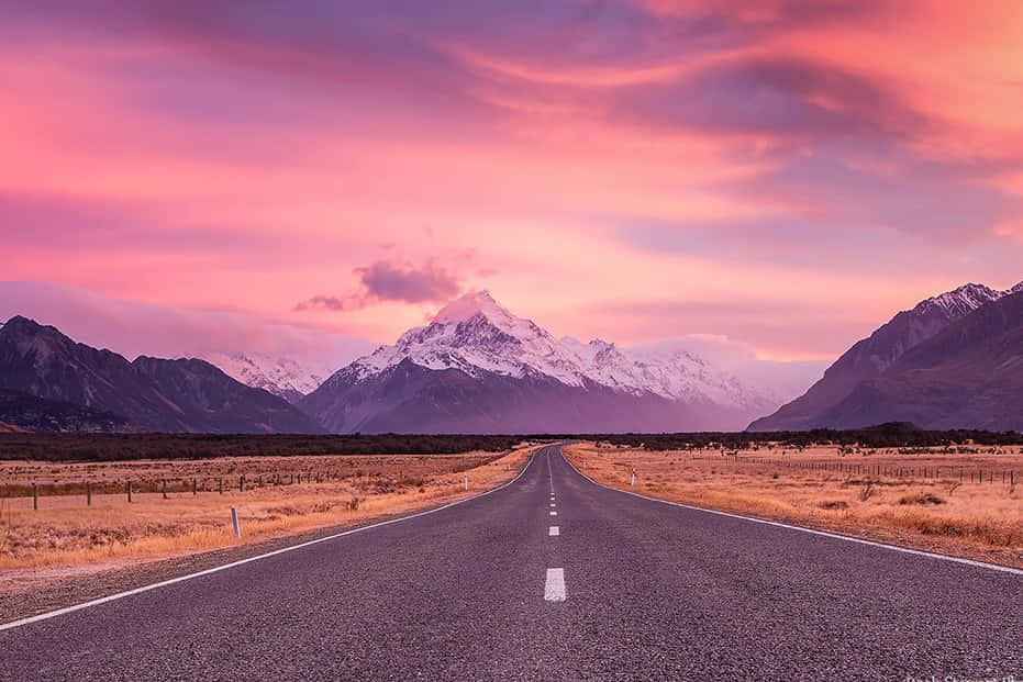 The Google Landscape - Explore The Full Range Of Google Opportunities Background