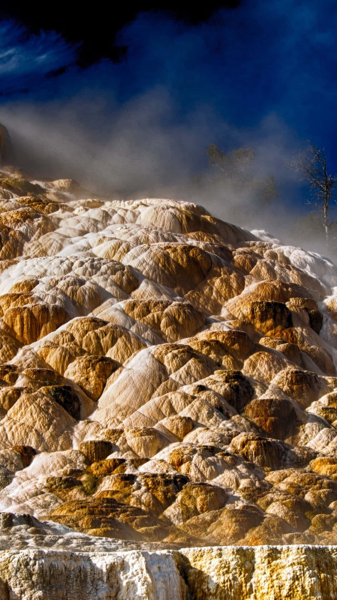 The Grand Prismatic Spring In Yellowstone National Park Background