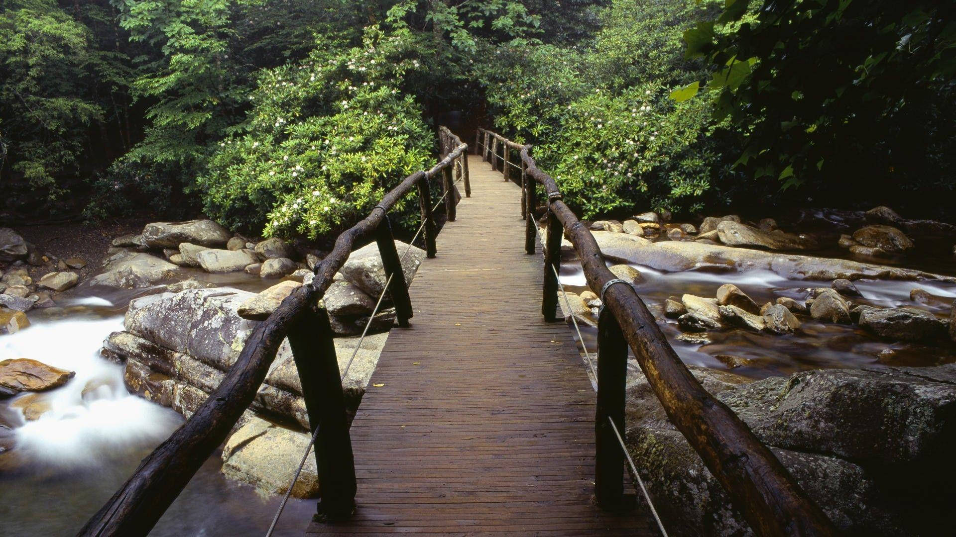 The Grandeur Of The Great Smoky Mountains Background