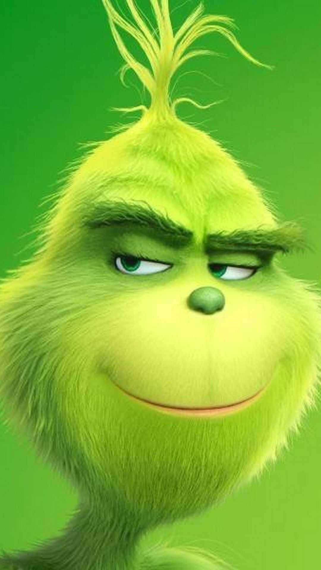 The Grinch Face Closeup