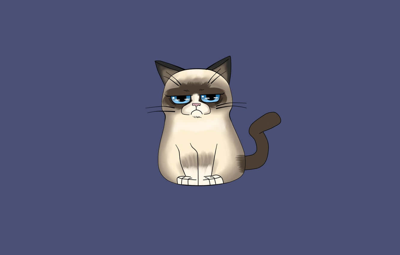 The Grumpy Cat Phenomenon: Her Famous Frown Has Won The Internet's Heart Background