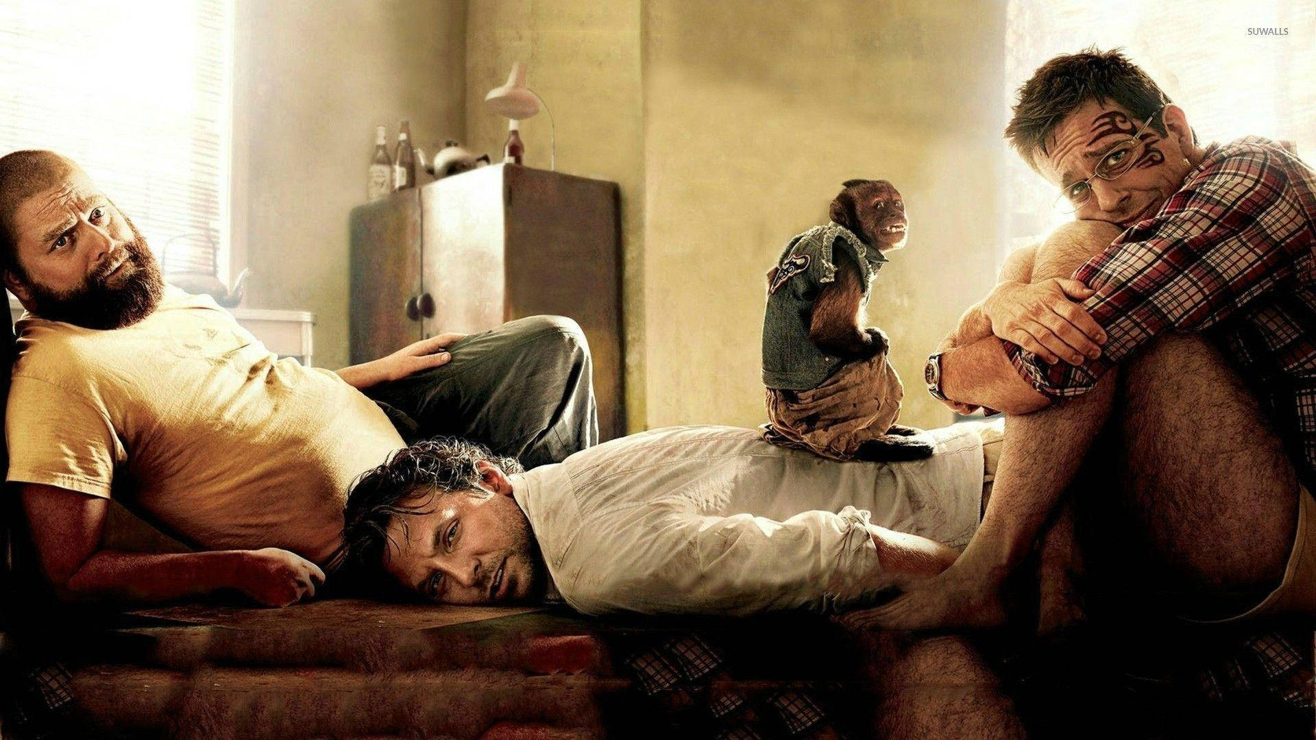 The Hangover Part Ii Wolfpack Trio Monkey Tired Background