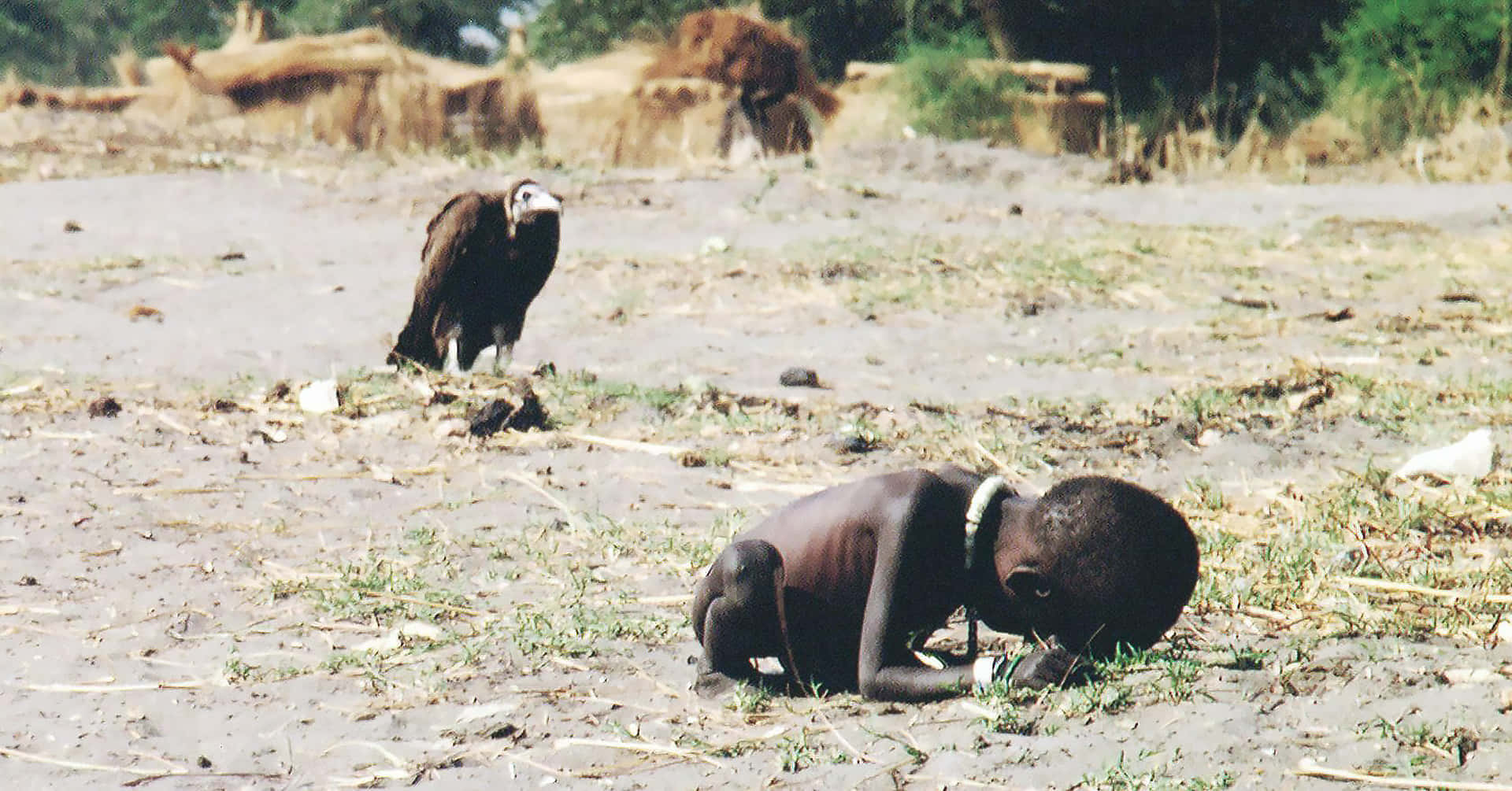 The Harsh Reality Of Life: A Vulture Stalks An Emaciated Child Background