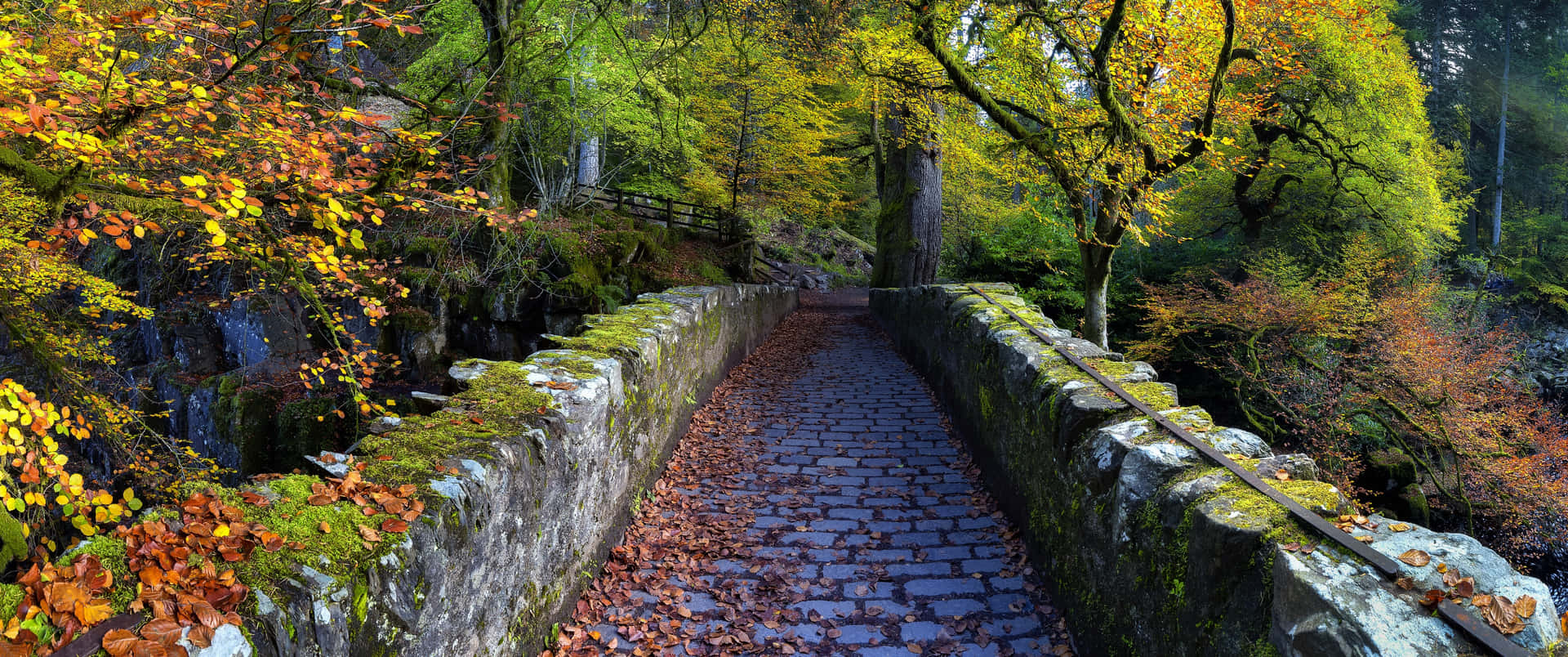 The Hermitage Bridge Background